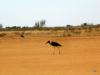 Namibia 2011/12 Namibia 2011/12