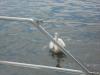Walvis Bay Walvis Bay