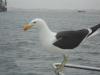 Walvis Bay 2 Walvis Bay 2