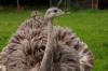 Tierpark Roseeg 7 Tierpark Roseeg 7