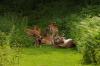 Tierpark Rosegg 8 Tierpark Rosegg 8