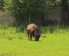 Tierpark Rosegg Tierpark Rosegg