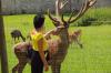 Tierpark Rosegg 5 Tierpark Rosegg 5