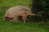 Tierpark Rosegg 6 Tierpark Rosegg 6