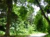 GR:Korfu>Kanoni>Mon Repos>Park4 GR:Korfu>Kanoni>Mon Repos>Park4