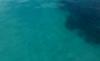 GR:Korfu>Lagune>Mavro Oros>blaue Lagune>Fische