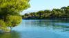 Herbst 2011, 11,Brac 3 Herbst 2011, 11,Brac 3