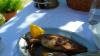 Herbst 2011, 11,Brac 3 Herbst 2011, 11,Brac 3