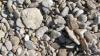 Herbst 2011, 11,Brac 6 Herbst 2011, 11,Brac 6