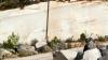 Herbst 2011, 11,Brac 8 Herbst 2011, 11,Brac 8