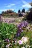 2014 Hvar DSC_7027 2014 Hvar DSC_7027