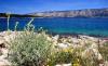 2014 Hvar DSC_7123 2014 Hvar DSC_7123