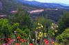2014 Hvar DSC_7251 2014 Hvar DSC_7251