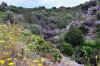 2014 Hvar DSC_7255 2014 Hvar DSC_7255