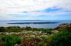 2014 Hvar DSC_7309 2014 Hvar DSC_7309