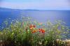 2014 Hvar DSC_7321 2014 Hvar DSC_7321