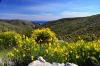 2014 Hvar DSC_7359 2014 Hvar DSC_7359