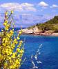 2014 Hvar DSC_7386