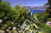 2014 Hvar DSC_7415 2014 Hvar DSC_7415