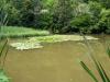 H:Lillafüred>Forellenhof>oberer Teich 001 H:Lillafüred>Forellenhof>oberer Teich 001