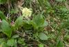 17 Ackernalm 043 800 17 Ackernalm 043 800