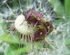 Flotter Dreier Flotter Dreier