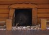 Vogelhäuschen Vogelhäuschen