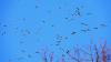 DSCN1054 DSCN1054
