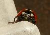 P1000053_A P1000053_A