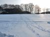 Spuren im Schnee1 Spuren im Schnee1