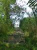 H:Bokod>Stausee5 H:Bokod>Stausee5