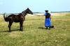 Hortobágy > Puszta Hortobágy > Puszta