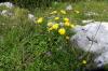 8Hochries 010 8Hochries 010