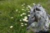 8Hochries 011 8Hochries 011