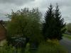 Kirschbaum im Regen iA Kirschbaum im Regen iA