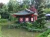 Münzesheim > Asiatischer Garten 6 Münzesheim > Asiatischer Garten 6