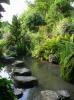 Münzesheim > Asiatischer Garten 7