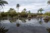 BOTANICACTUS > Botanischer Garten Mallorca 4