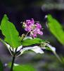 DSC_0658 DSC_0658