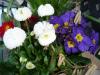 k-P1080126 k-P1080126