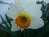 k-P1080128 k-P1080128