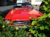 Ford Mustang vorne