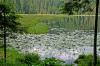 Großer Arbersee 3 Großer Arbersee 3