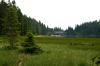 Großer Arbersee Großer Arbersee