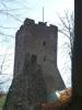 D:Bayern>Burgruine Wildenstein>Halsgraben>Bergfried2