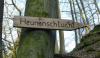 D:Bayern>Klingenberg>Seltenbachschlucht17 D:Bayern>Klingenberg>Seltenbachschlucht17