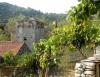 Insel Mljet > Korita 3 Insel Mljet > Korita 3