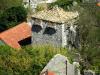 Insel Mljet > Korita 4 Insel Mljet > Korita 4