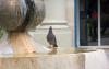 H:Eger>Schneckenbrunnen3 H:Eger>Schneckenbrunnen3