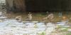 H:Eger>Schneckenbrunnen5 H:Eger>Schneckenbrunnen5